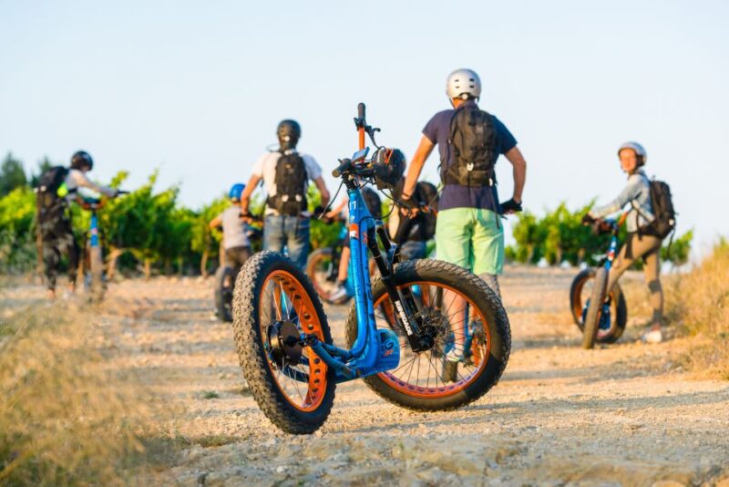 Electric Scooter Tour of Our Vineyard and Wine Tasting - Inclusions and Exclusions