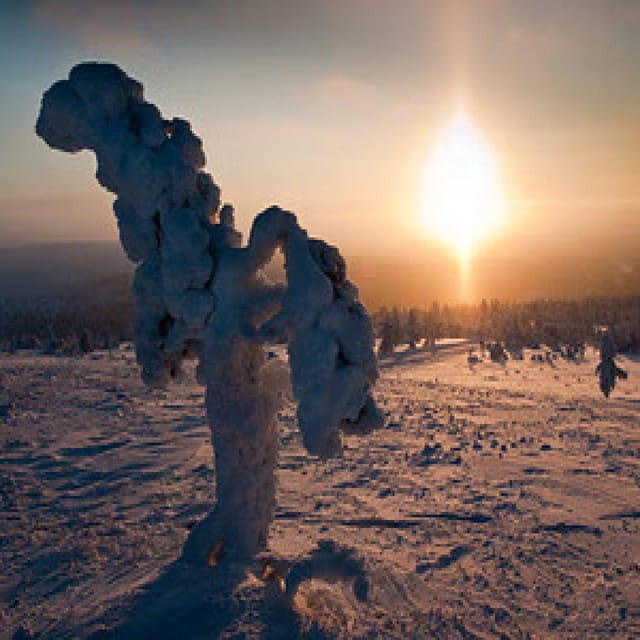 Electric Snow Scooters Tour in Saariselkä (2hr) - Group Size and Languages