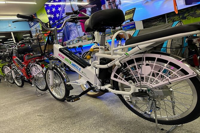 Electric Tandem Bike Rental in South Beach - Rental Overview