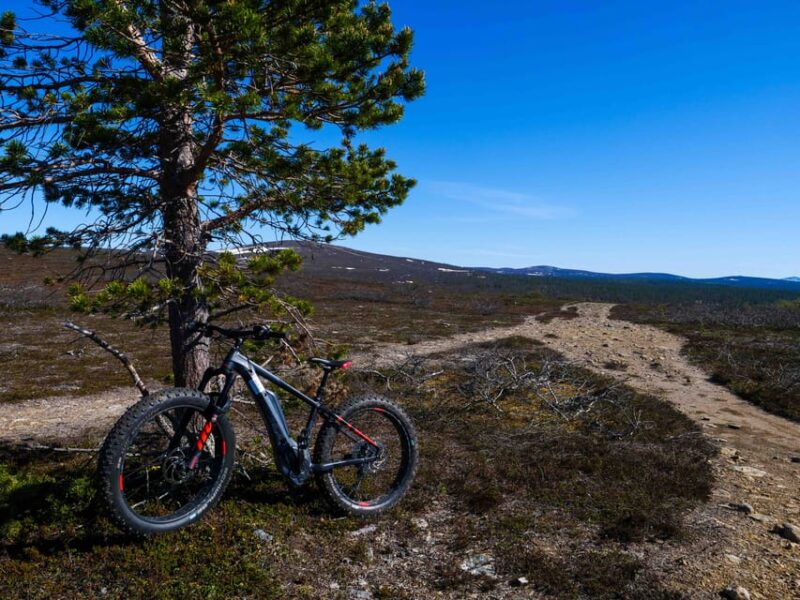 Electronic Fatbiking Trip to the Taiga Forests in Ivalo - Experience Highlights
