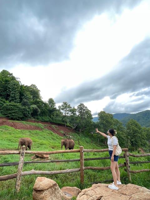 Elefin Farm & Cafe Half-Day Tour With Private Car - Key Points