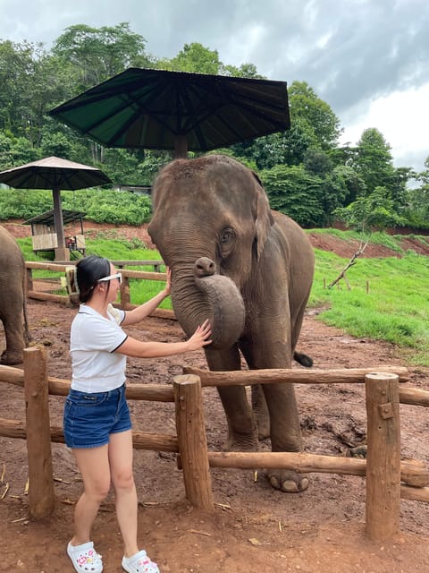 Elefin Farm & Cafe Half-Day Tour With Private Car - Itinerary Overview