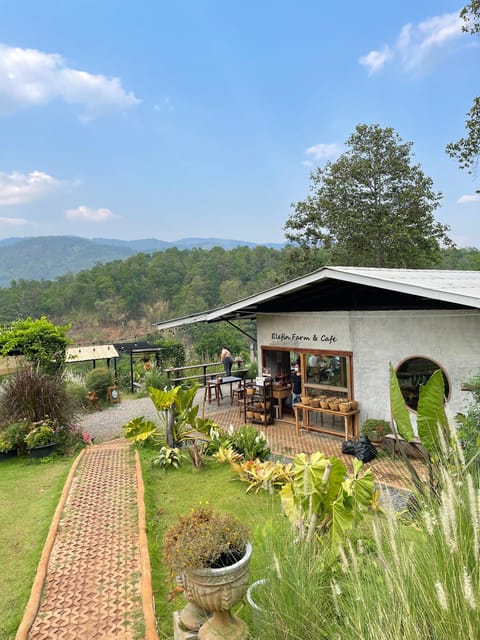 Elefin Farm & Cafe Half-Day Tour With Private Car - Optional Market Visit