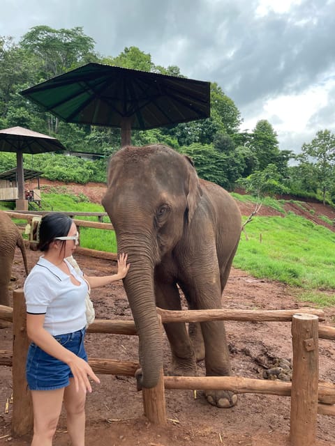 Elefin Farm & Cafe Half-Day Tour With Private Car - Frequently Asked Questions