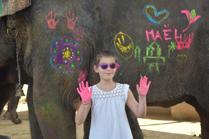 Elefun Best Elephant Sanctuary in Jaipur - Frequently Asked Questions