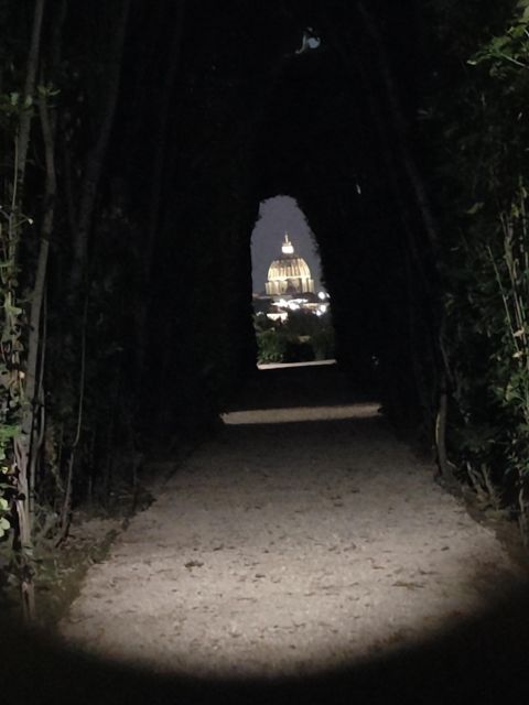 Elegant Rome by Night Tour and Dinner in a Local Restaurant - Scenic Drive and Sightseeing
