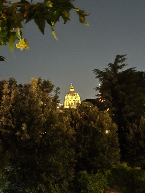 Elegant Rome by Night Tour and Dinner in a Local Restaurant - Dinner at Local Restaurant