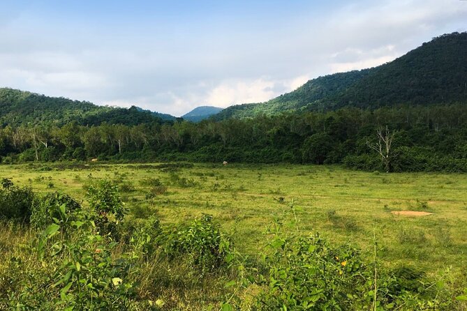 Elephant and Animal Watching in Kuiburi National Park - Join Afternoon Tour - Wildlife and Experience