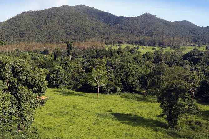 Elephant and Animal Watching in Kuiburi National Park - Join Afternoon Tour - Booking and Pricing