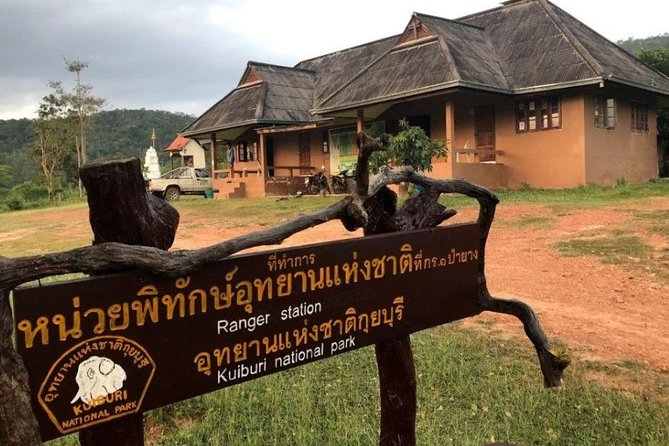 Elephant and Wildlife Watching in Kuiburi National Park - Private Afternoon Tour - Flexible Itinerary