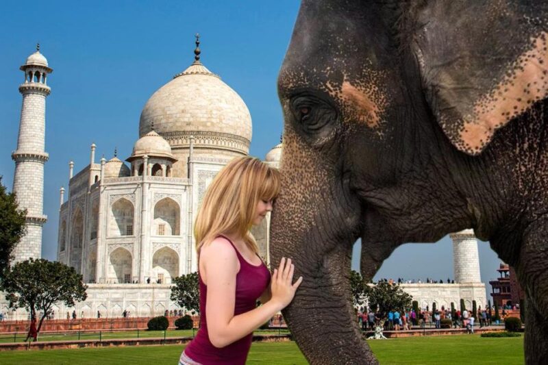 Elephant/Bear Wildlife SOS & Agra Trip by Car - Key Points