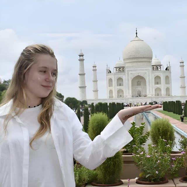 Elephant/Bear Wildlife SOS & Taj Mahal Sunrise Tour by Car - Recap