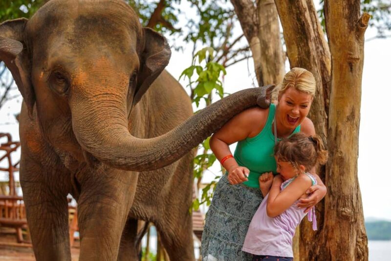 Elephant Feeding Program With Sea View (Feeding Only) - Hands-on Elephant Feeding Experience