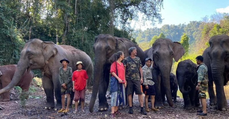 Elephant Home Sanctuary in Muang Thong Sayaboury Laos - Key Points