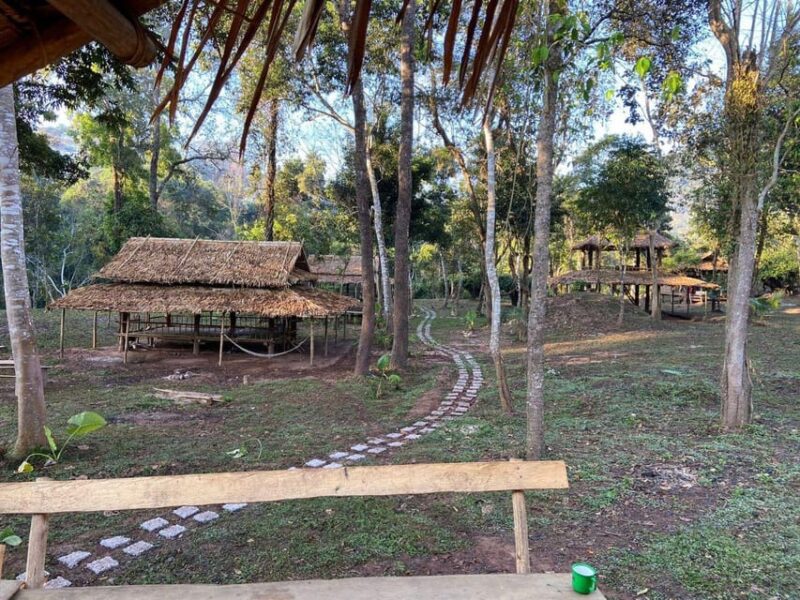 Elephant Home Sanctuary in Muang Thong Sayaboury Laos - Elephant Protection and Eco-Tourism