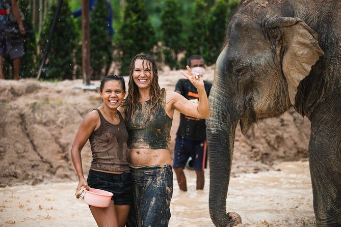 Elephant Jungle Sanctuary: Half Day Afternoon Program - Making Elephant Dung Paper