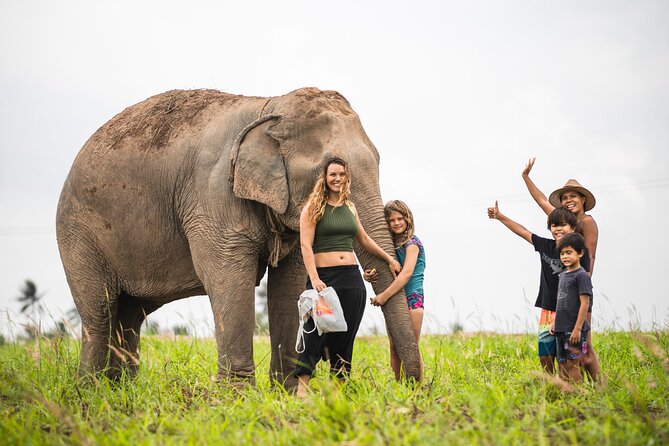 Elephant Jungle Sanctuary: Half Day Morning Program - Sustainable Paper-Making