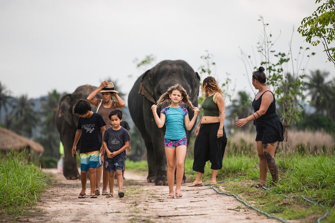 Elephant Jungle Sanctuary: Half Day Morning Program - Personalized Group Experience
