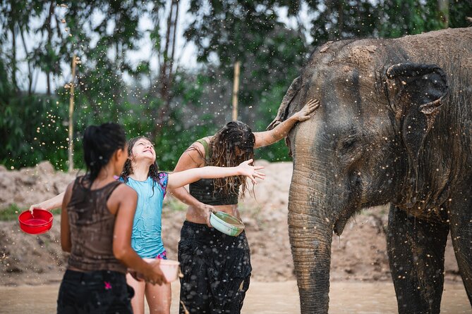 Elephant Jungle Sanctuary: Half Day Morning Program - Important Booking Information