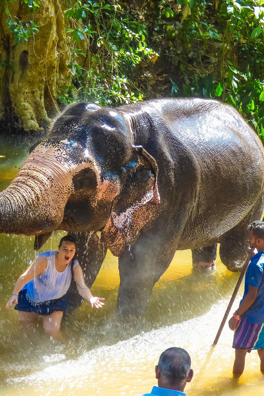 Elephant Keeper Experience With Kuangsi Waterfall Day Tour - Group Size and Guide