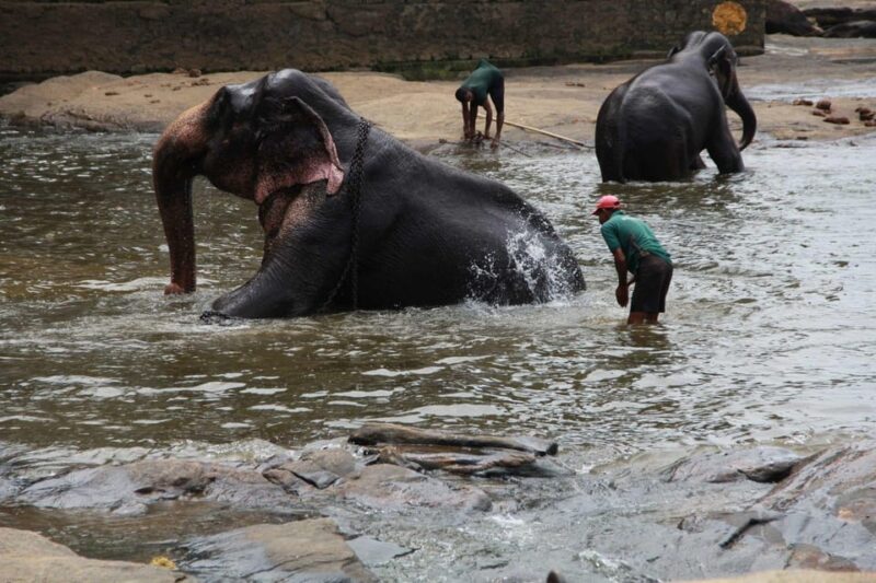 Elephant Keeper Experience With Kuangsi Waterfall Day Tour - Key Points