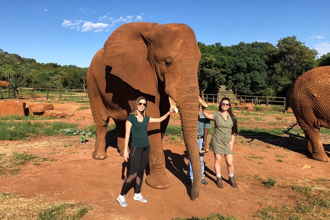 Elephant & Monkey Sanctuary Tour From Johannesburg - Inclusions and Exclusions
