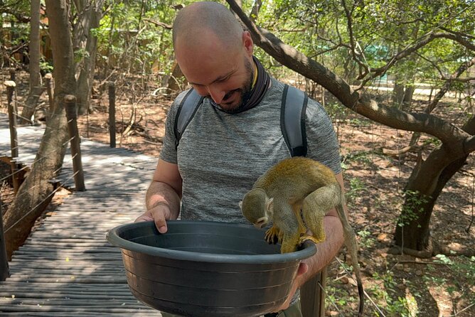 Elephant & Monkey Sanctuary Tour From Johannesburg - Inclusions and Logistics