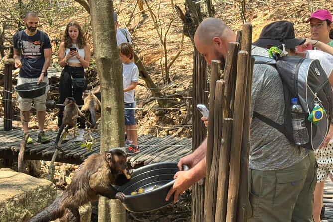 Elephant & Monkey Sanctuary Tour From Johannesburg - Immersive Animal Interactions