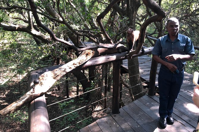Elephant & Monkey Sanctuary Tour From Johannesburg - Preparing for Monkey Encounters
