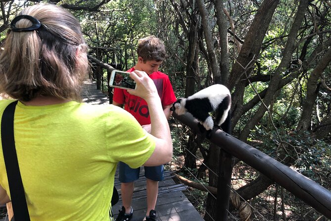 Elephant & Monkey Sanctuary Tour From Johannesburg - A Must-Do South African Experience