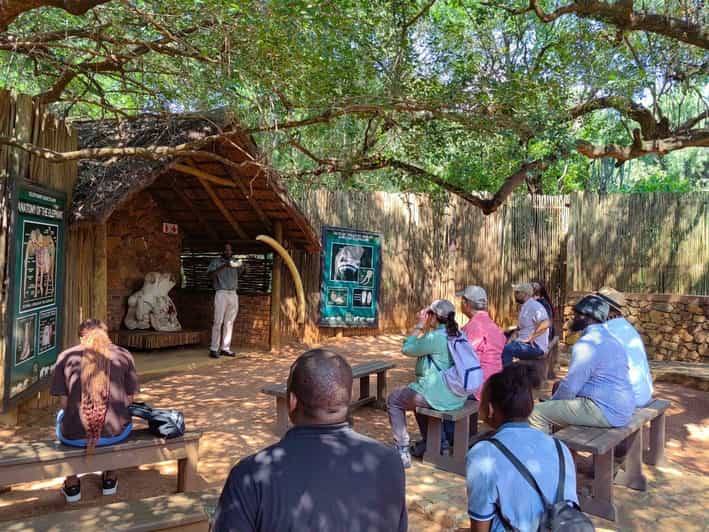 Elephant & Monkey Santuary With Lion Park Tour - Key Points