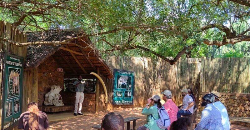 Elephant & Monkey Santuary With Lion Park Tour - Tour Highlights