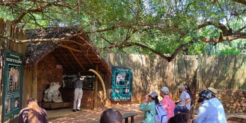Elephant & Monkey Santuary With Lion Park Tour - Elephant Sanctuary Tour