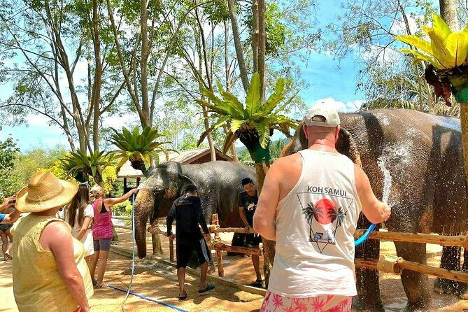 Elephant Nature Care, the largest elephant sanctuary on Koh Samui - The Sum Up