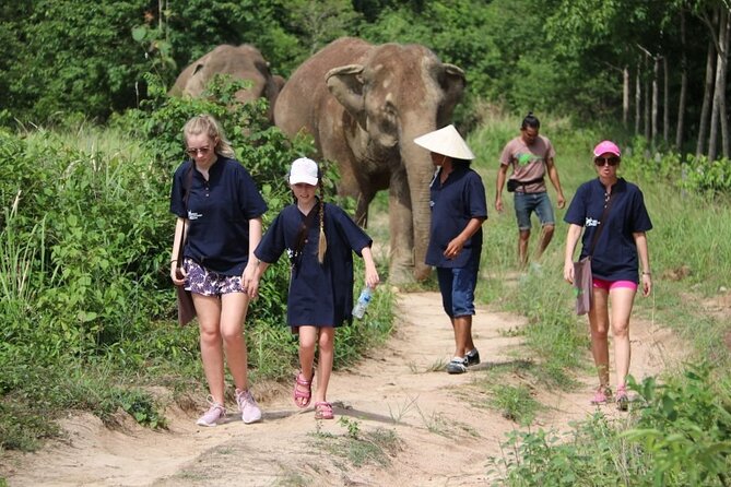 Elephant Nature Care, the Largest Elephant Sanctuary on Koh Samui - Inclusions and Amenities Provided