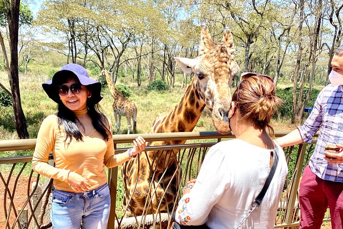 Elephant Orphanage and Giraffe Center Day Tour in Nairobi - Reviews and Ratings