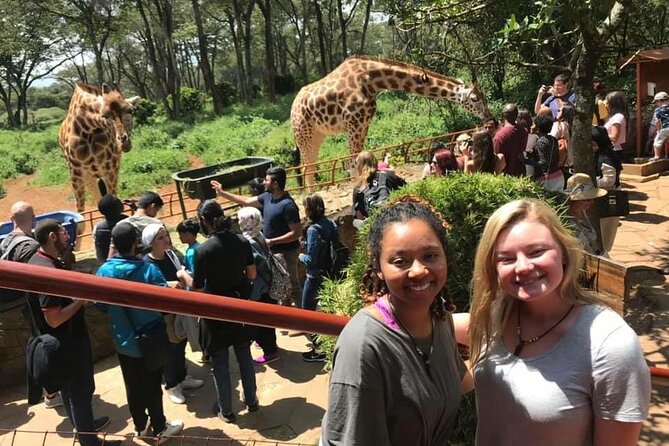 Elephant Orphanage and Giraffe Center Day Tour in Nairobi - Elephant Orphanage Visit