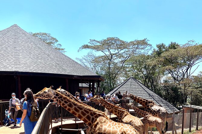 Elephant Orphanage and Giraffe Center Day Tour in Nairobi - Logistics and Inclusions