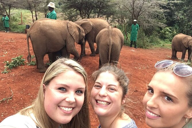 Elephant Orphanage, Giraffe Centre& Optional Nairobi Nationalpark - Accessibility