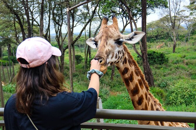 Elephant Orphanage,Nairobi National Park and Giraffe Center Tour. - Tour Highlights: Elephant Orphanage