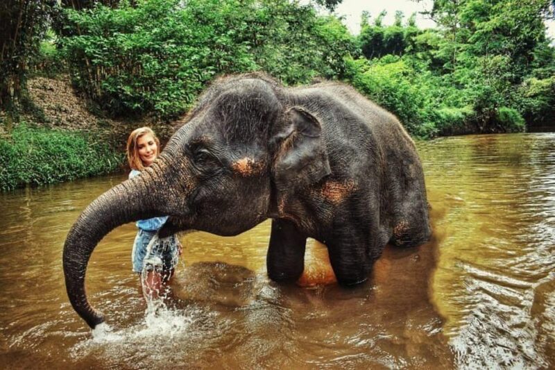ELEPHANT SANCTUARY GUIDED TOUR WITH WATERFALL HIKE - Pickup and Drop-off Locations