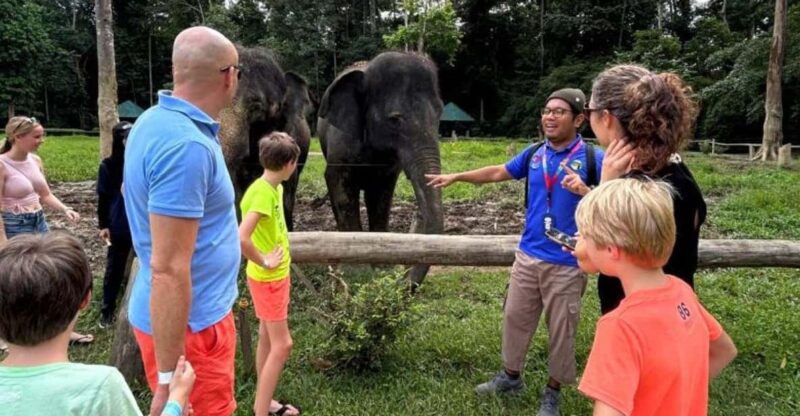 ELEPHANT SANCTUARY GUIDED TOUR WITH WATERFALL HIKE - Lunch Experience