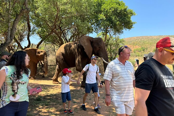 Elephant Sanctuary Tour From Johannesburg - Included in the Tour