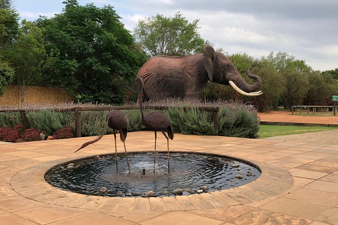 Elephant Sanctuary Tour From Johannesburg - Accessibility and Health Restrictions