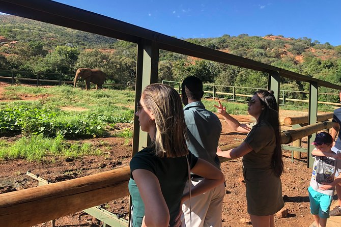 Elephant Sanctuary Tour From Johannesburg - Booking and Cancellation Policy