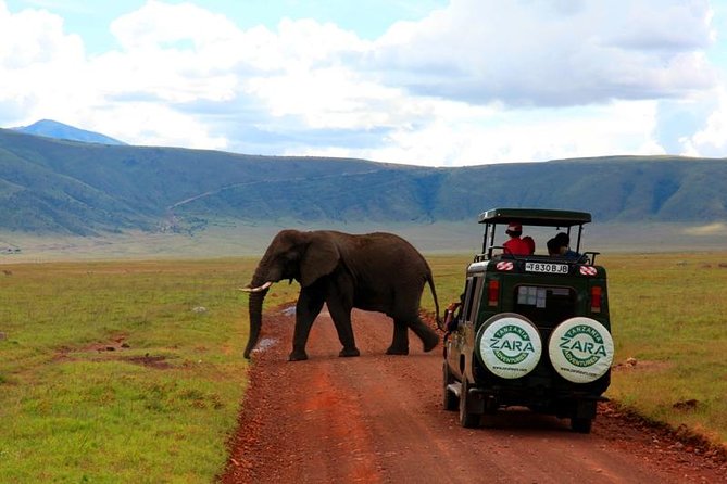 Elephant Special Serengeti & Ngorongoro Crater 5 Days / 4 Nights - Transportation and Accessibility