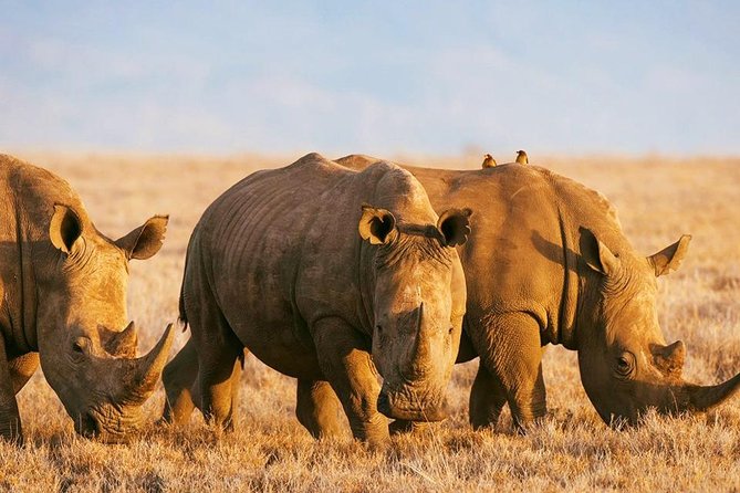 Elephant Special Serengeti & Ngorongoro Crater 5 Days / 4 Nights - Booking Information