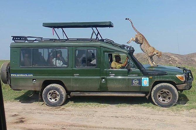 Elephant Special Serengeti & Ngorongoro Crater 5 Days / 4 Nights - Serengeti National Park