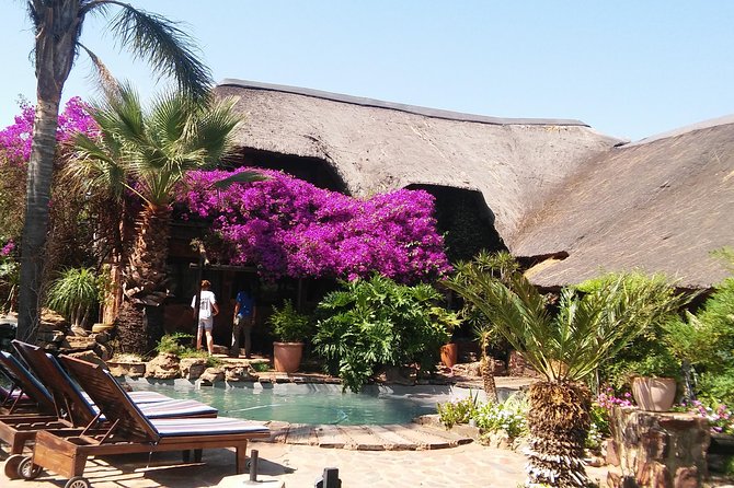 Elephant Walk Guided Half Day Tour From Johannesburg - Elephant Biology and Behavior