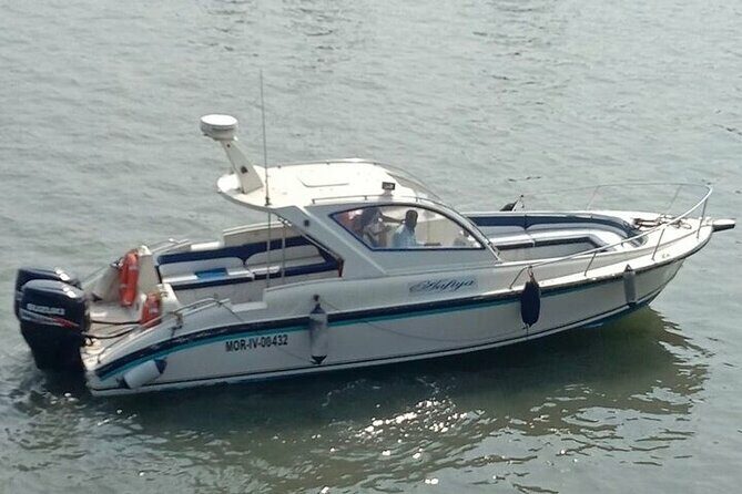 Elephanta Caves Tour by Private Speed Boat - The Sum Up